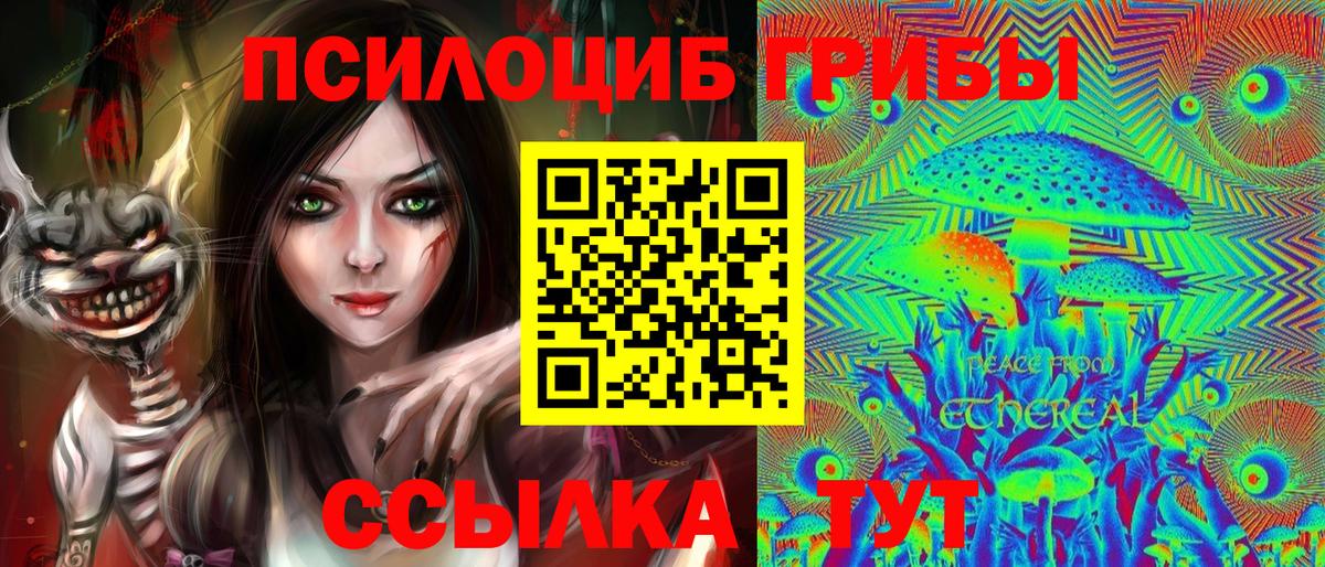 Галлюциногенные грибы Psilocybe Майский