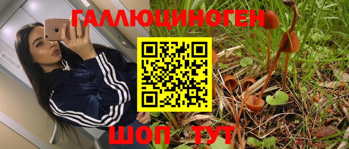 Псилоцибиновые грибы ЛСД  где купить наркоту  Псилоцибиновые грибы GOLDEN TEACHER  Майский  Вход с VPN 